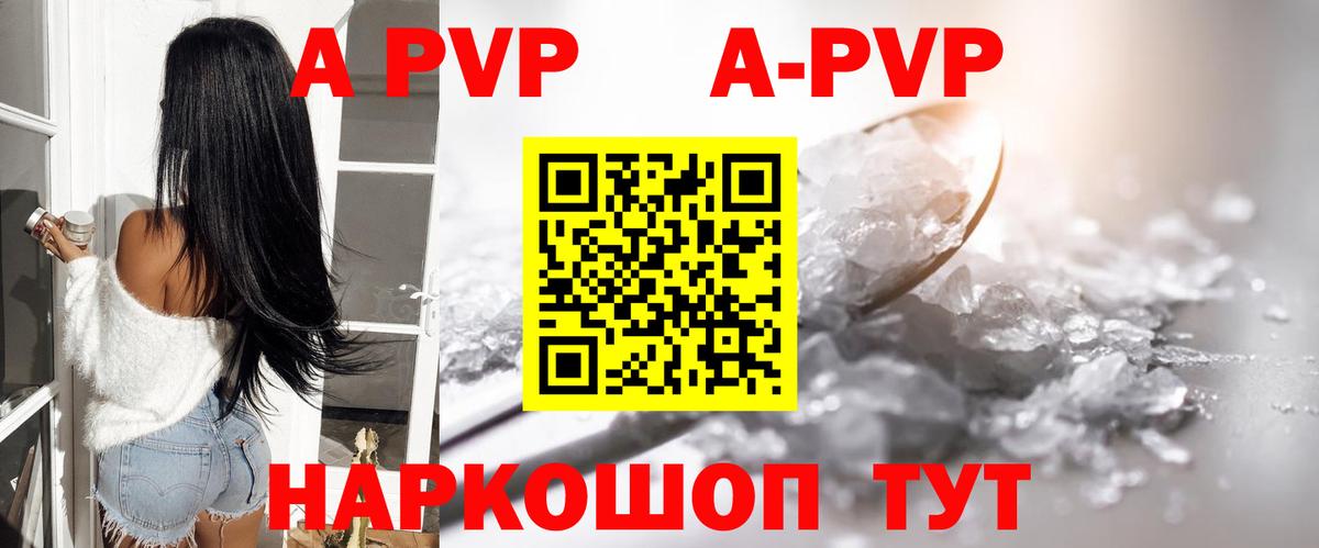 A PVP СК КРИС Новошахтинск