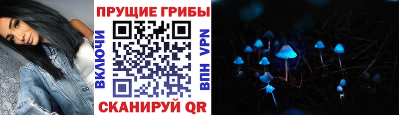 Галлюциногенные грибы прущие грибы  купить наркотики сайты  Новошахтинск 